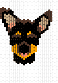 pincher - pinscher,dog,animal,cute,brown