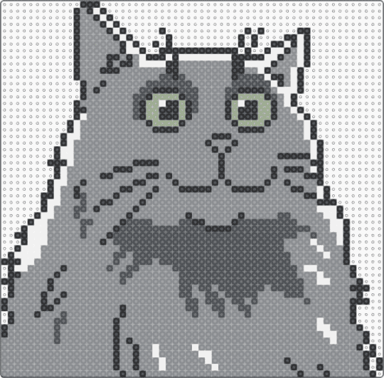 Lyka2 - cat,animal,gray