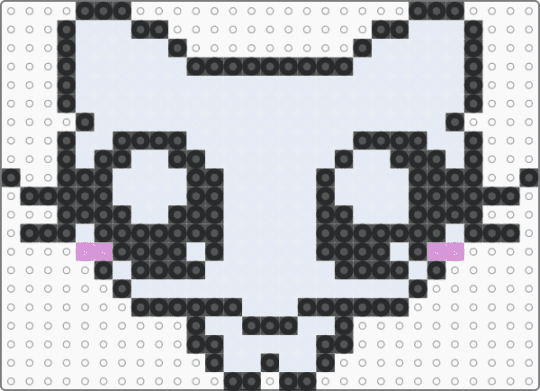 Silly kitty - cat, silly, white