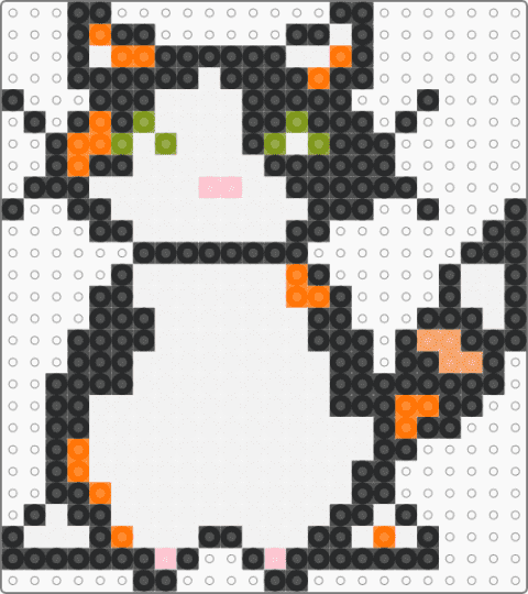 cat - white,orange,cat,zita,cute