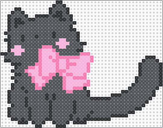 black cat - gray
