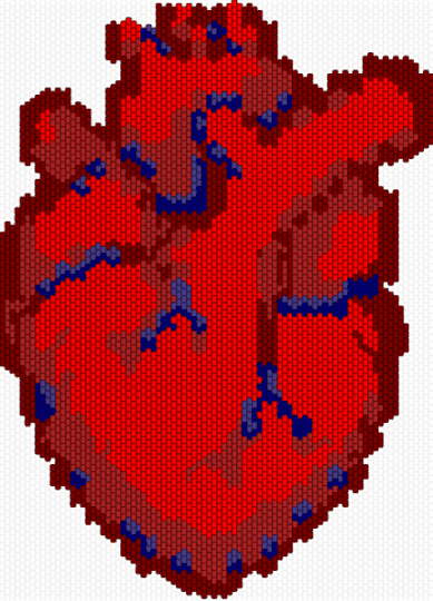 heart - red