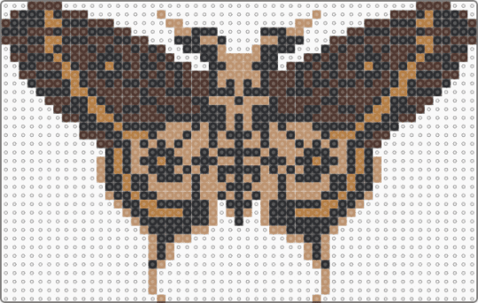 Death's Head Moth - brown,beige,moth,death,bug,creepy,horror,deaths head moth,spooky,scary