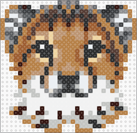 Cheetah cub head - tan,beige,animal,cheetah cub,cheetah