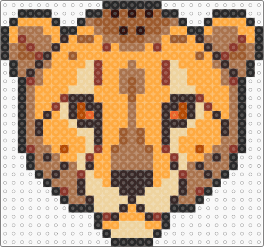 Cheetah Head - orange,tan,animal,cheetah