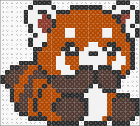 Sitting red panda - red,brown,animal,red panda,cute,sitting,cotdzooanimals