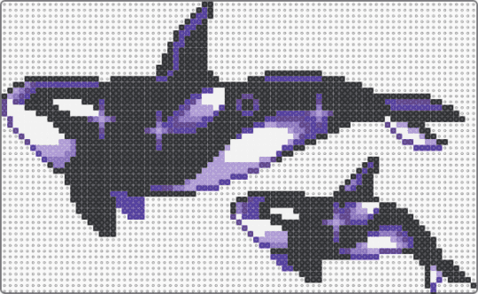 whals - black,purple