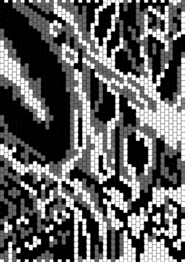 tshd
