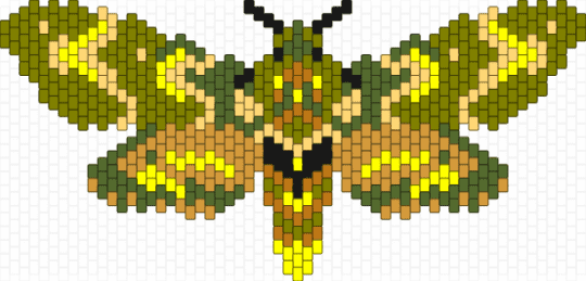 Glowing meadow moth - gold,yellow