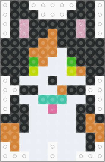 Mitsuki - black,white,orange