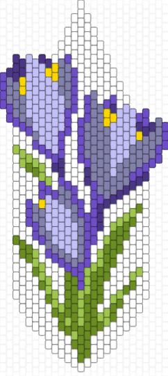 crocus flower - pink,purple,gray,green,crocus,flower,plant,nature