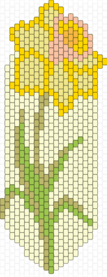 narcissus flower - white,yellow,beige,narcissus,flower,plant,nature,green