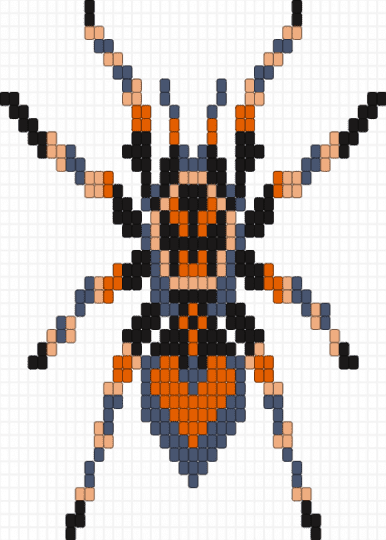 tarantula - purple,tarantula,spider,bug,spooky,halloween,orange