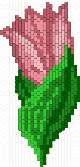 tulip - green,tulip,flower,nature,pink