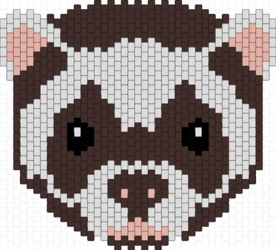 brown ferret - brown