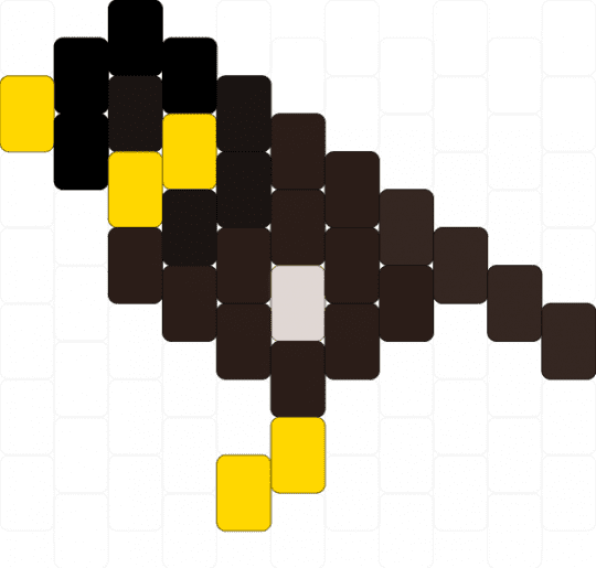 common myna charm - brown,myna,bird,australia,australian,animal,common myna,yellow