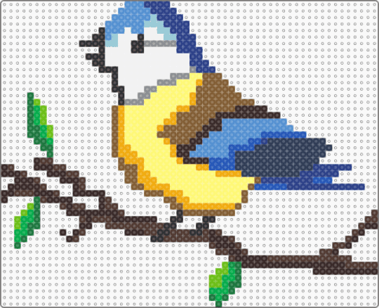 Blue_tit_bird - bird,blue,tan,colorful
