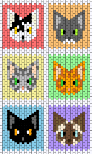 MY cats - yellow,pink,gray,teal,colorful