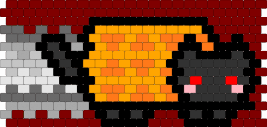 TAC NYAN - orange,brown