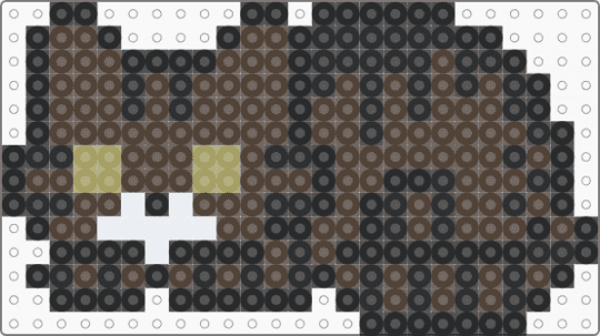 brown tabby cat - brown