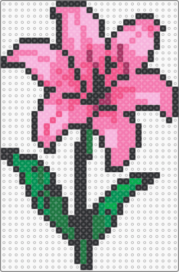 Flower - pink,flower