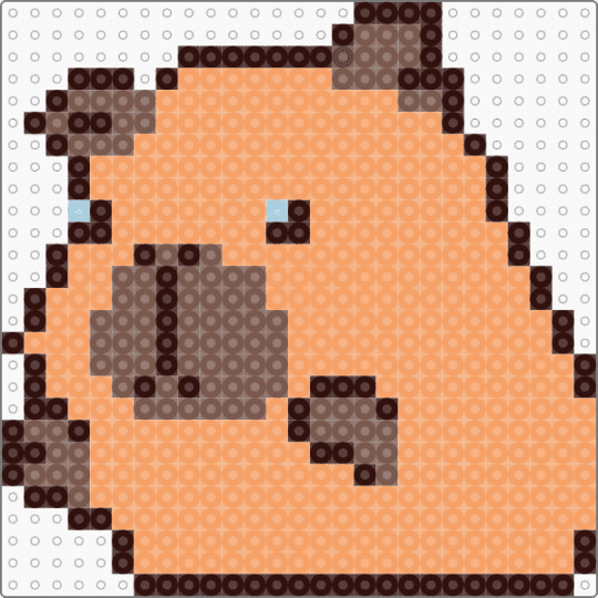 Capybara - orange