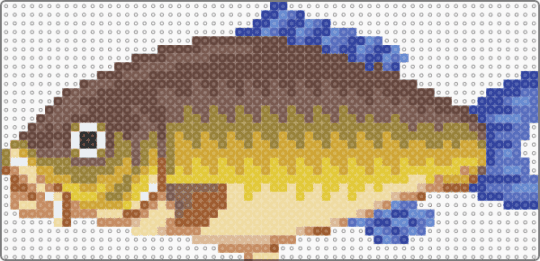 Carp (Animal Crossing: Wild World) - animal, animal crossing, brown, carp, colorful, fish, orange, pond, tan