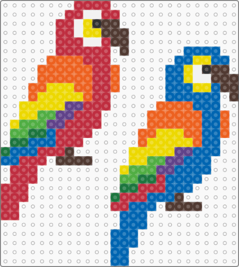 Parrots - red,yellow,orange,blue