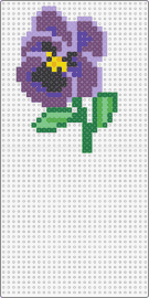 Purple Pansy - pansy,flower,plant,nature,garden,purple,green