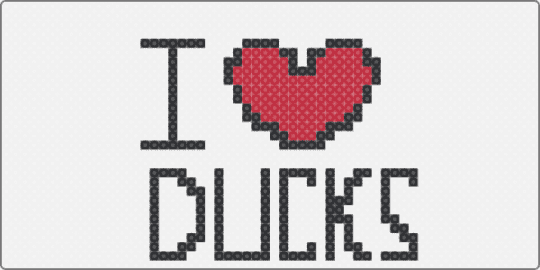 Duck merch