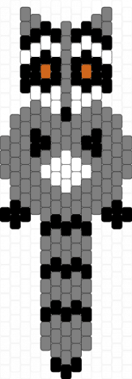 Raccoon - gray