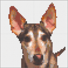 Laila - dog,portrait,animal,pet,companion,tribute,lifelike,faithful,brown