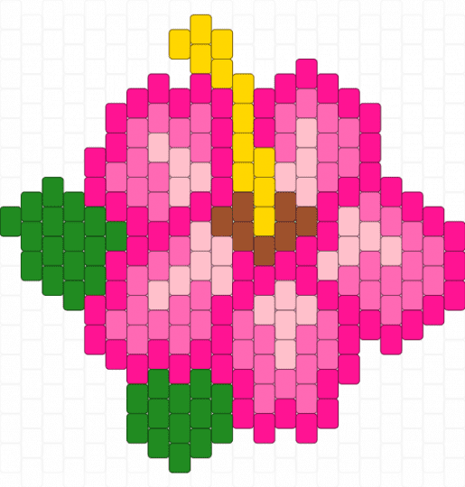 Pink Hibiscus flower - pink