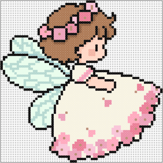 Dianthus Fairy - 