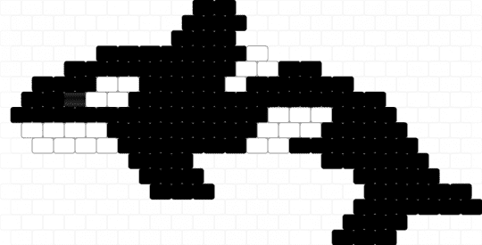 Little orca - black