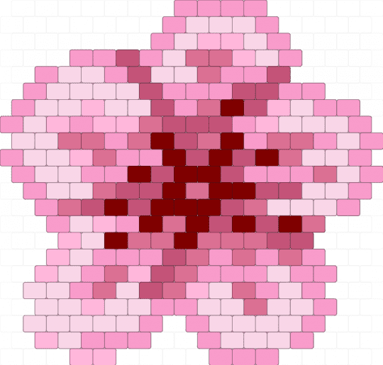 A Chinese cherry blossom, Sakura blossom - pink