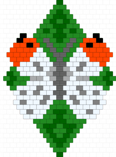 Aurora Butterfly in a green frame - green