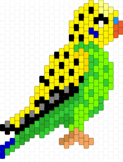 Medium Budgie - yellow,green