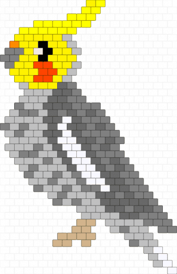 A beautiful cockatiel - beige,gray