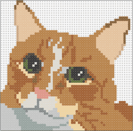 simpy2 wip - cat,pet,animal,portrait,tan