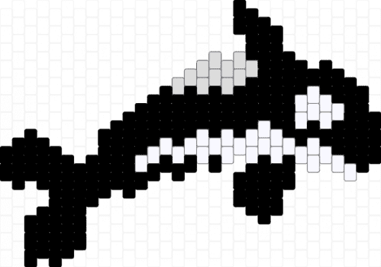 orca!! - black