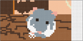 GUSTAV - hamster,gerbil,animal,rodent,pet,adorable,charming,small,brown,gray