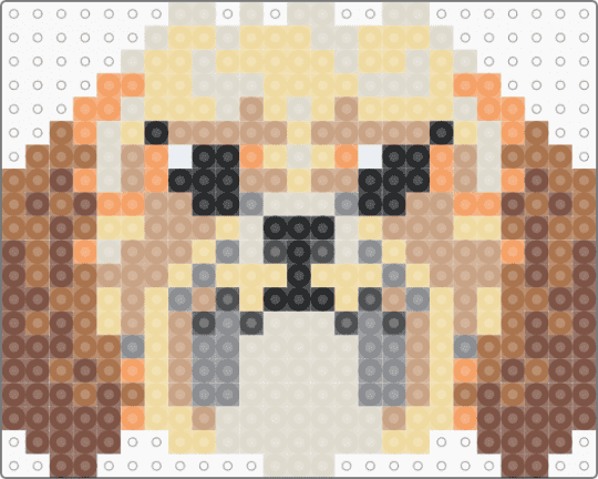 Shih Tzu - beige,tan,shih tzu,dog,puppy