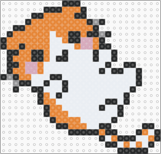 Orange Kitty - white,orange,cat,kitty