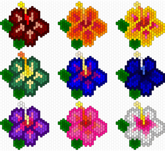 Different Variations of Hibiscus Flowers - green,yellow,purple,colorful