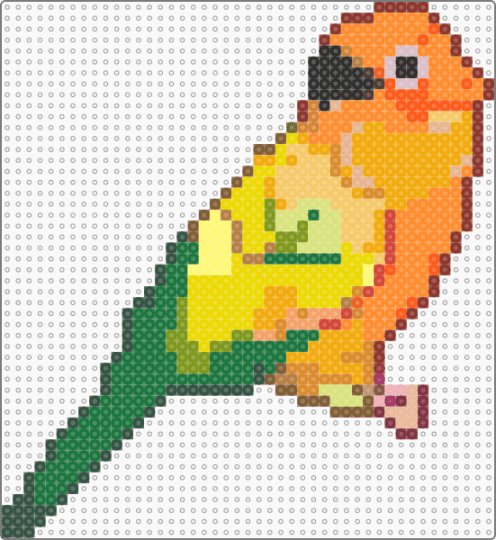 Sun Conure - green, orange, yellow