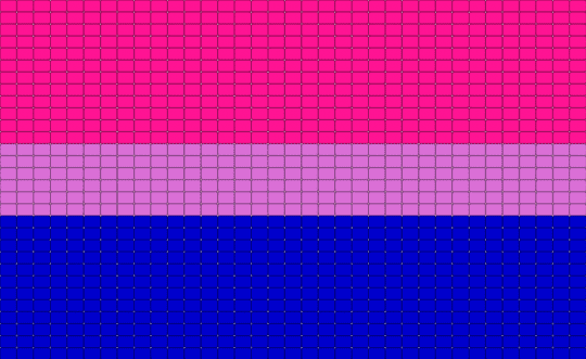 Bi-sexual flag! - pink,purple