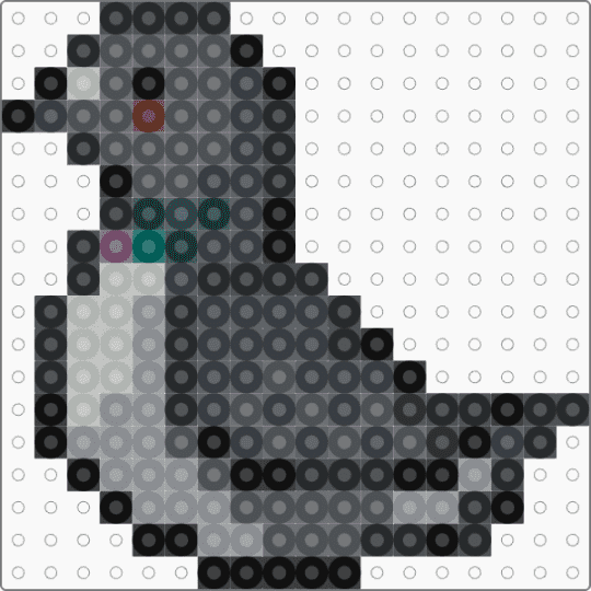 Pigeon - black,gray,pigeon,birds