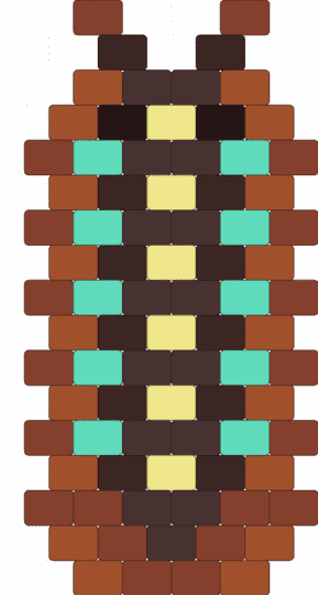 Klugii pudding clown Isopod - brown, red