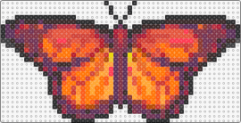 Butterfly (orange) - butterfly,fiery,insect,moth,nature,flutter,wings,delicate,vibrant,orange